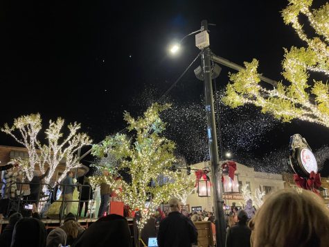 A glittering town... Guests are in awe as the trees downtown light up the night sky. Photo by Ellery Scott.