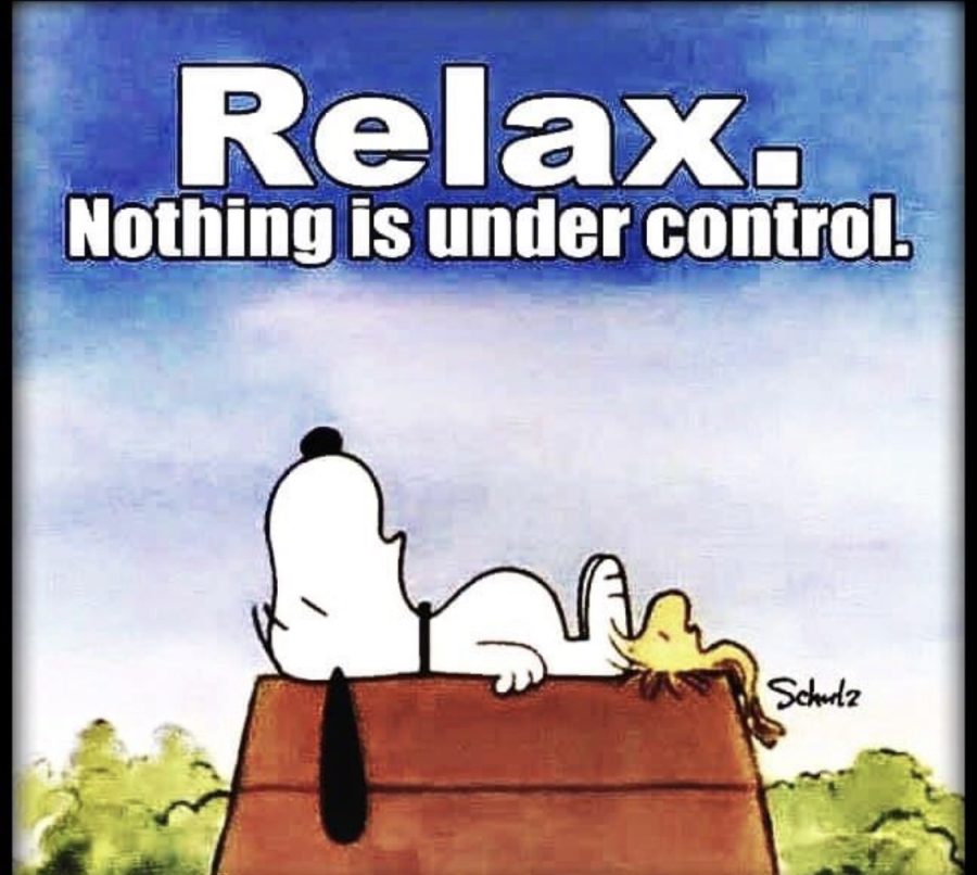 Sigh... Snoopy and Woodstock understand life is not always understandable. Photo taken from Instagram.