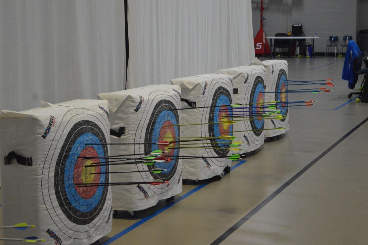 Shoot for gold… After a practice round, arrows represent the archers 
accuracy.