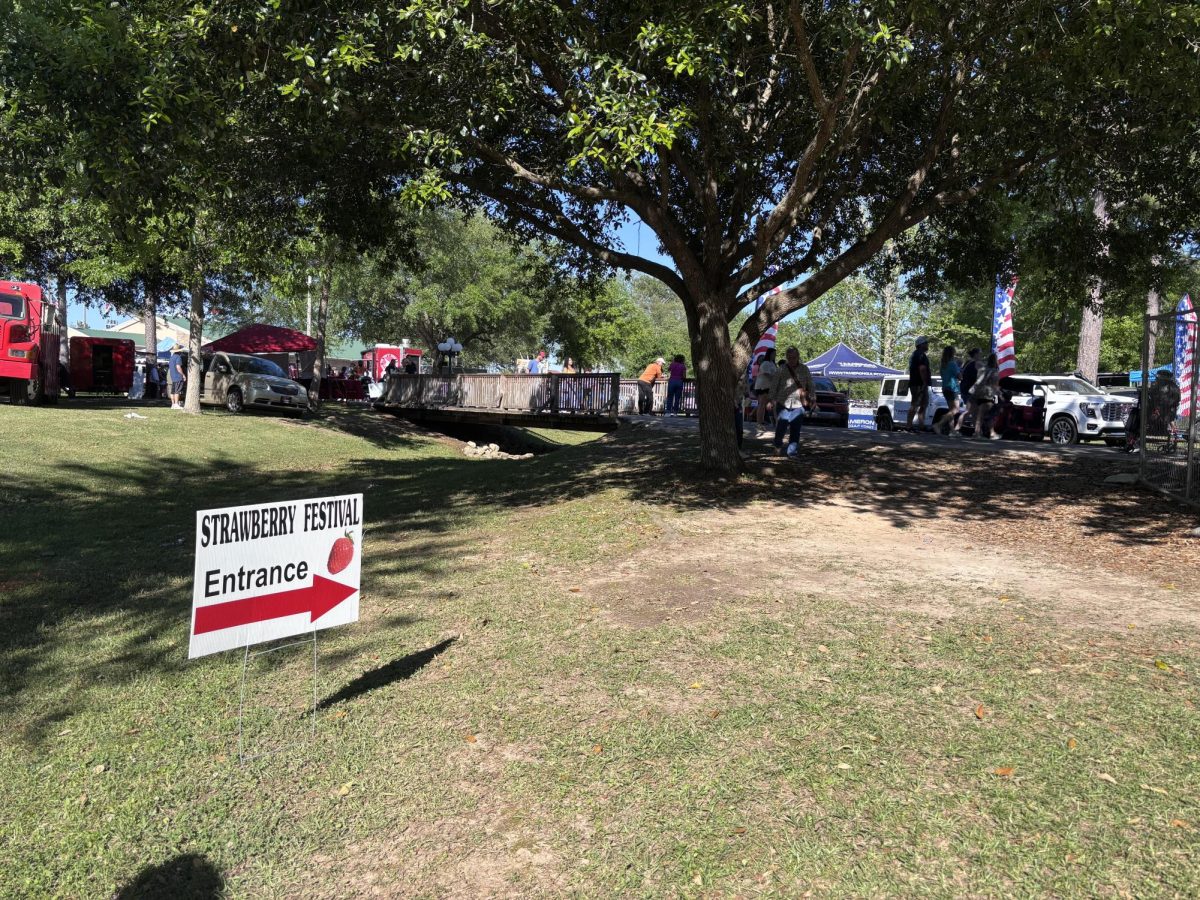 Welcome to the Festival… On April 12, thousands of Baldwin County residents and tourists attend the Baldwin County Strawberry Festival. The Strawberry Festival was the 36th annual event at the Loxley Municipal Park.