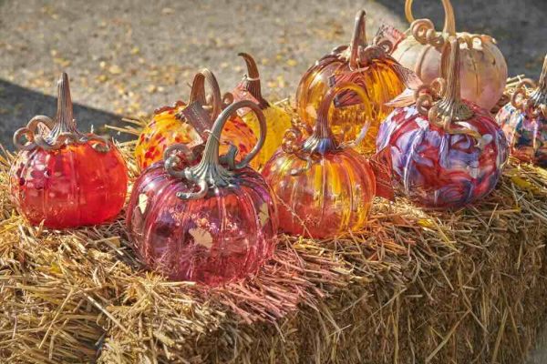 Pumpkins are displayed throughout the festival. Each pumpkin showed the creativity of the artist. “ I got a pumpkin and I hope it won't break anytime soon with how much I paid,” Evans said. (courtesy of University of South Alabama College of Arts and Sciences)