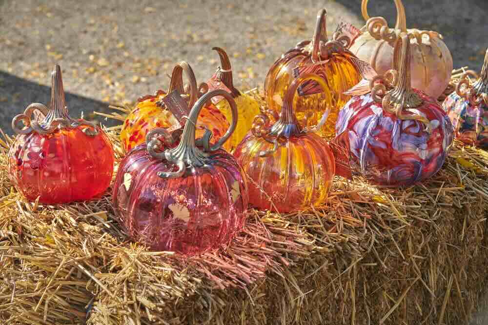 Pumpkins are displayed throughout the festival. Each pumpkin showed the creativity of the artist. “ I got a pumpkin and I hope it won't break anytime soon with how much I paid,” Evans said. (courtesy of University of South Alabama College of Arts and Sciences)