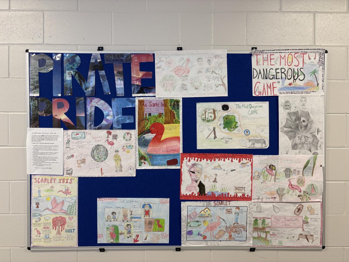 Every detail counts…One-pagers hang on the walls of the Freshman Academy. Projects are colorful and illustrated with characters and themes of the short story “The Scarlet Ibis” by James Hurst. (Addison Glies)