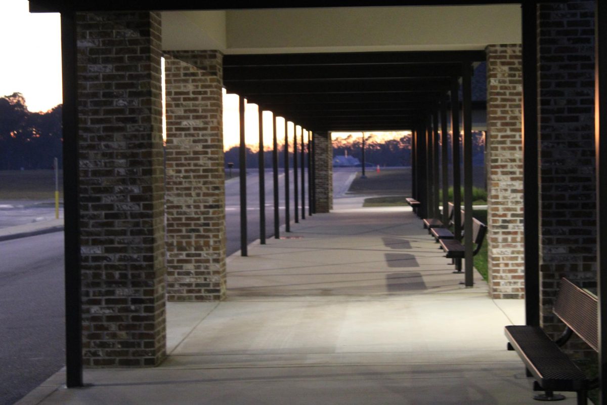 I took this wide shot of Silverhill Elementary. It qualifies as architectural photography because of the several lines of symmetry and arcs throughout the building. I chose to take this detail shot because of how the beams looked from a farther perspective.I wanted to emphasize the depth shown in this shot because of the symmetricality and many lines there are.. The creative/alternative shot I took shows the front of Silverhill Elementary. It is a creative/alternative shot because the picture was taken from the ground looking up to emphasize the size of the school.